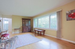 Hardwood flooring throughout, large window, and light-colored walls - 