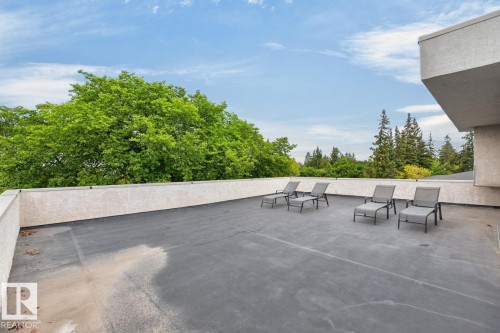 Expansive rooftop terrace with a stucco parapet wall and treetop surroundings - 14A Birch Drive, St. Albert, AB 