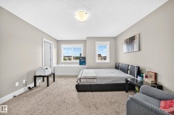Carpeted flooring with light-toned walls and trim - 