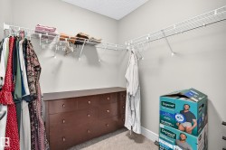 Built-in wire shelving and hanging rods - 