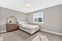 Carpeted room featuring a double-pane window, neutral wall paint, and a ceiling-mounted light fixture - 