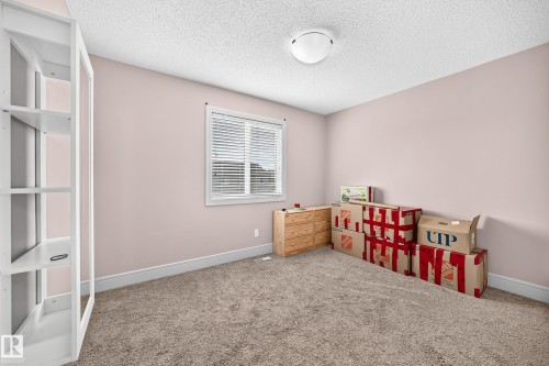 Window with blinds, ceiling-mounted light fixture, and light-colored carpeting - 12035 168 Avenue Nw, Edmonton, AB 