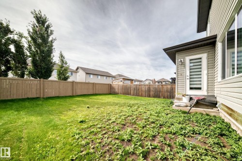 Expansive backyard featuring a wood privacy fence, mature trees, and a ground-level exterior door - 12035 168 Avenue Nw, Edmonton, AB 