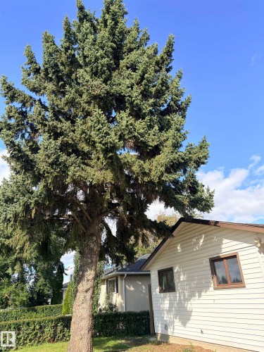 13219 107 Street Nw, Edmonton, AB 