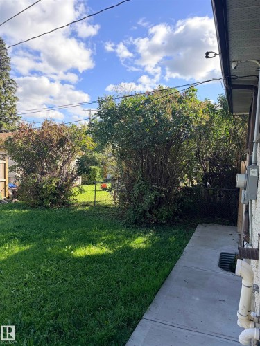 Expansive grassy yard with mature shrubs and chain-link fencing - 13219 107 Street Nw, Edmonton, AB 