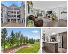 #203 6084 STANTON DR SW Edmonton, AB T6X 0Z4