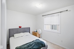 Carpeted bedroom with a single window and ceiling-mounted light fixture - 