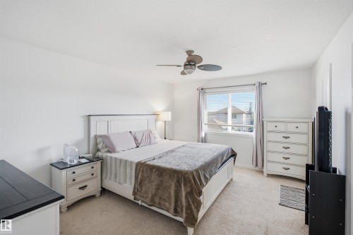 Plush carpet flooring, a ceiling fan with integrated lighting, and a window with blinds and drapes - 1523 36 Avenue Nw, Edmonton, AB 