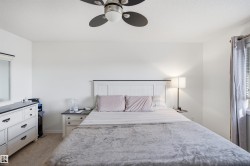 White walls with textured ceilings - 