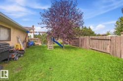 Expansive grassy yard with mature trees and wood fencing - 