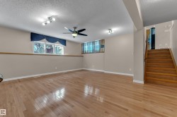 Spacious room featuring wood-finish flooring, multiple windows, a ceiling fan, and track lighting - 