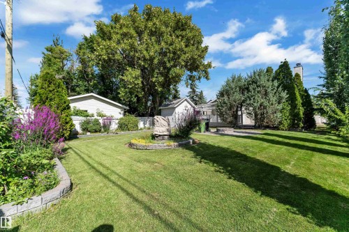 Expansive lawn with mature trees, raised garden beds featuring stone block borders, and a detached outbuilding - 9722 157 Street Nw, Edmonton, AB 