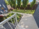 Concrete walkway leading to a landscaped garden area - 3526 42 Street Nw, Edmonton, AB 