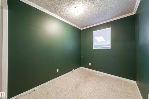 Room with dark green walls, white trim, and a textured ceiling - 10438 32A Avenue Nw, Edmonton, AB 