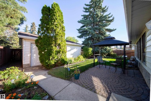 Paved patio area, concrete walkway, detached shed, mature trees, and garden beds - 10438 32A Avenue Nw, Edmonton, AB 