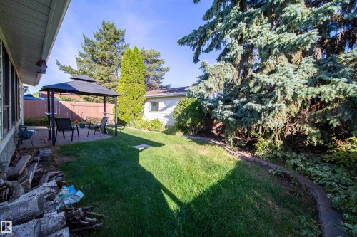 Expansive backyard featuring a stone patio, mature evergreen trees, and a manicured lawn - 10438 32A Avenue Nw, Edmonton, AB 