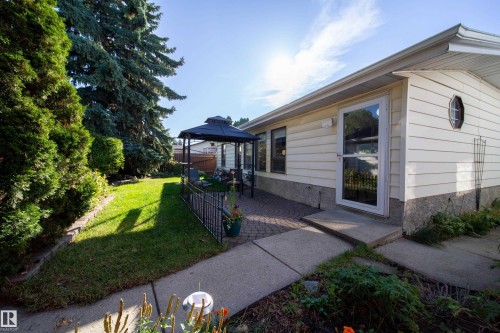 Expansive backyard featuring a manicured lawn, established privacy trees, a paver patio with a gazebo, and a concrete pathway - 10438 32A Avenue Nw, Edmonton, AB 