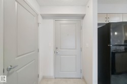 White interior doors with panel detailing - 