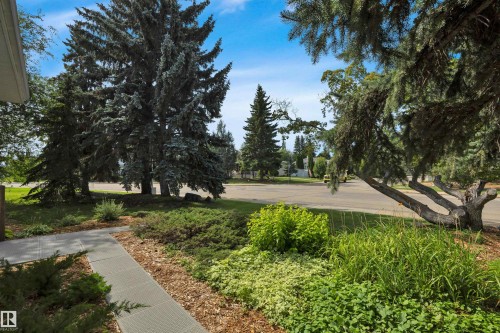 5003 143 Street Nw, Edmonton, AB 