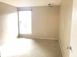 Neutral-toned walls complement the carpeted flooring - 