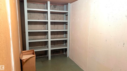 Storage room. - 4128 110 Street Nw, Edmonton, AB 