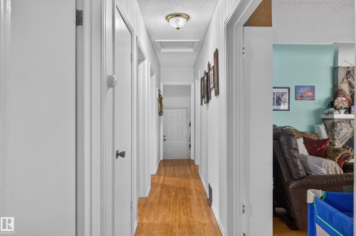 Hallway with wood-finish flooring, beadboard wall paneling, and an overhead flush-mount light fixture - 12309 80 Street Nw, Edmonton, AB 