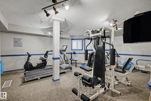 Carpeted floor, track lighting, ceiling-mounted television, and two windows with blue trim - #505 7839 96 St Nw, Edmonton, AB 