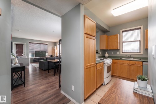 #301 8108 109 St Nw, Edmonton, AB - Indoor Photo Showing Kitchen With Double Sink