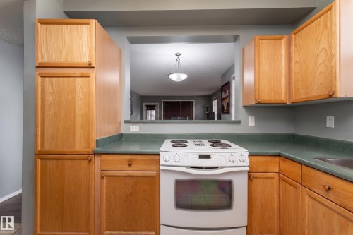 #301 8108 109 St Nw, Edmonton, AB - Indoor Photo Showing Kitchen