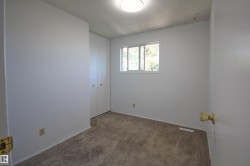 Neutral wall finishes, carpeted flooring, and a flush-mount ceiling light - 