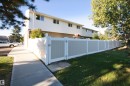 Two-tone perimeter fencing with dual gates, concrete sidewalk, and maintained lawn - 7743 37 Avenue Nw, Edmonton, AB 