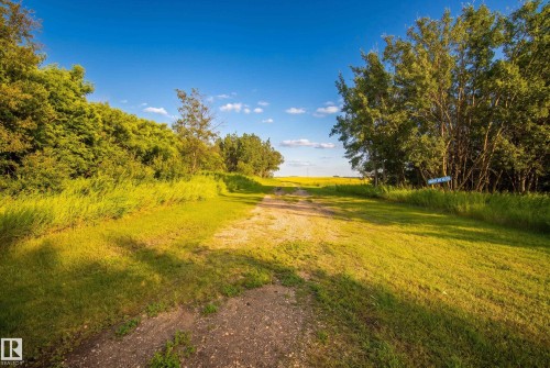 Gravel path bordered by green lawn and mature trees, extending towards a distant yellow field under a clear blue sky - 48109 Rr 155, Rural Beaver County, AB - Outdoor With View