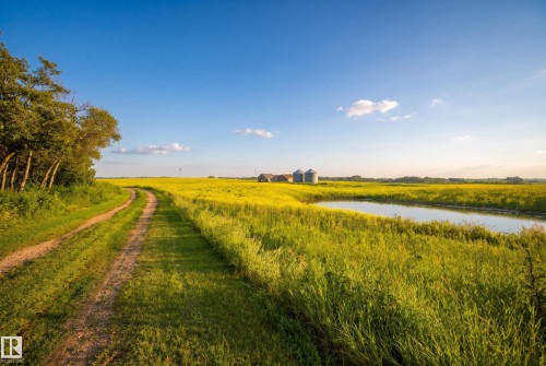 Expansive agricultural landscape featuring a winding dirt road, verdant field with yellow blossoms, a natural pond, and distant silos - 48109 Rr 155, Rural Beaver County, AB - Outdoor With View