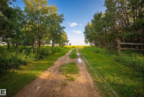 Rural property approach featuring a natural dirt road, established wooden fencing, and mature trees lining both sides - 48109 Rr 155, Rural Beaver County, AB - Outdoor
