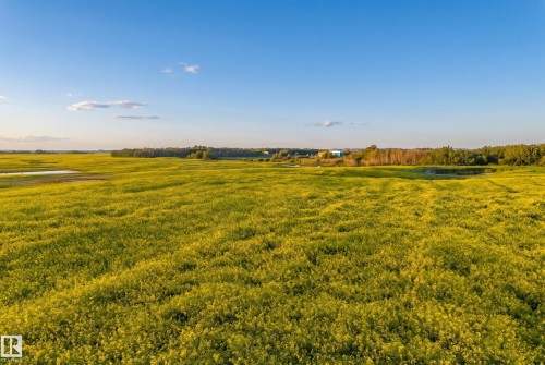Expansive land parcel featuring a vast field of yellow flora - 48109 Rr 155, Rural Beaver County, AB - Outdoor With View