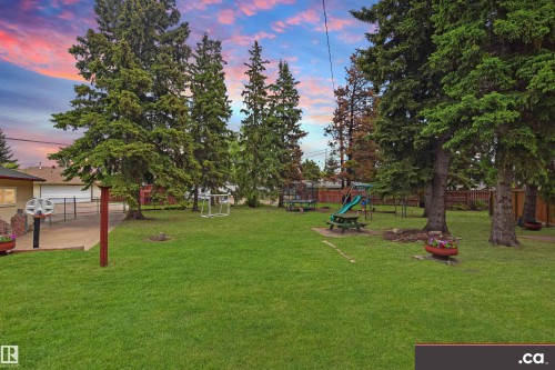 Expansive green lawn with mature evergreen trees and a paved patio area - 9657 68A Street Nw, Edmonton, AB 