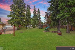 Expansive green lawn with mature evergreen trees and a paved patio area - 
