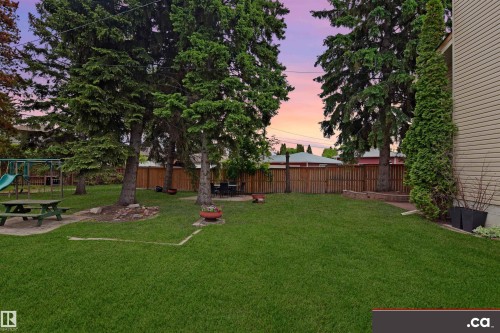 Expansive backyard featuring a lush lawn, mature evergreen trees, and a privacy fence - 9657 68A Street Nw, Edmonton, AB 