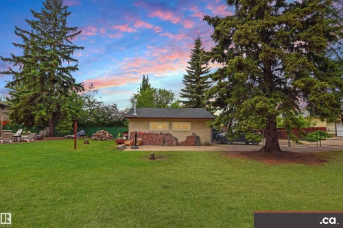 Expansive green lawn with mature evergreen trees, a detached auxiliary building with a shingle roof, and a paved drive - 9657 68A Street Nw, Edmonton, AB 