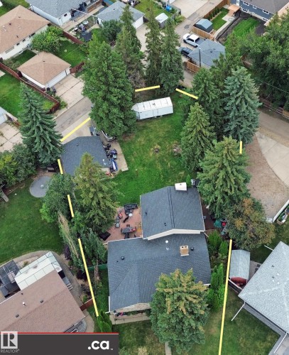 Expansive backyard featuring mature evergreen trees, a large paved patio area, and a detached storage shed - 9657 68A Street Nw, Edmonton, AB 