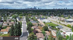 Residential neighborhood featuring a tree-lined street and distant cityscape - 