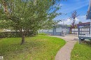 Expansive lawn with mature trees and a concrete pathway - 13024 Sherbrooke Avenue Nw, Edmonton, AB 