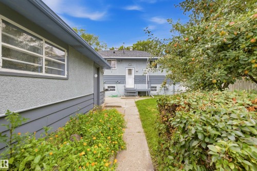 Exterior stucco siding with horizontal paneling, concrete walkway, established hedge, mature fruit tree, and a rear entry door with steps - 13024 Sherbrooke Avenue Nw, Edmonton, AB 