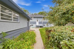 Exterior stucco siding with horizontal paneling, concrete walkway, established hedge, mature fruit tree, and a rear entry door with steps - 