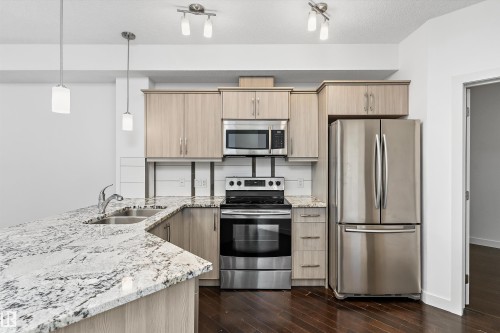 #109 10523 123 St Nw, Edmonton, AB - Indoor Photo Showing Kitchen With Stainless Steel Kitchen With Double Sink With Upgraded Kitchen
