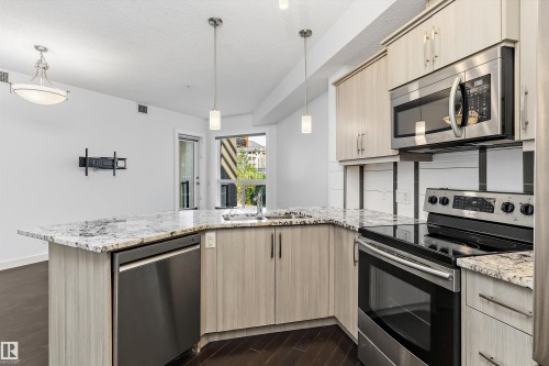 #109 10523 123 St Nw, Edmonton, AB - Indoor Photo Showing Kitchen With Stainless Steel Kitchen With Upgraded Kitchen