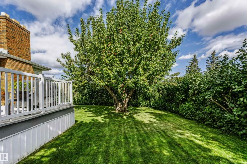 13503 135 Avenue Nw, Edmonton, AB 