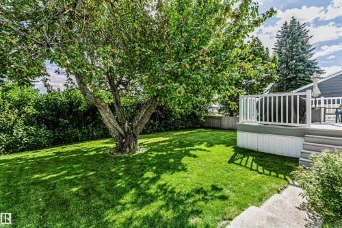 13503 135 Avenue Nw, Edmonton, AB 