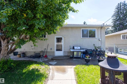 Rear exterior featuring a concrete patio, mature tree providing natural shade, and a storm door entry - 10428 68 Avenue Nw, Edmonton, AB 