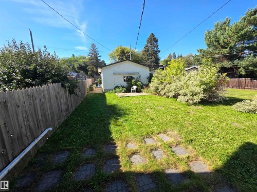 Expansive lawn area with stone pavers, bordered by a wood fence and mature trees - 10438 147 Street Nw, Edmonton, AB 